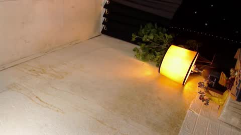 Snapshot of xxgoddessofsatisfactionxx chatting on October 19, 2025, 5:57 pm Sophie online show from October 19, 2025, 5:57 pm