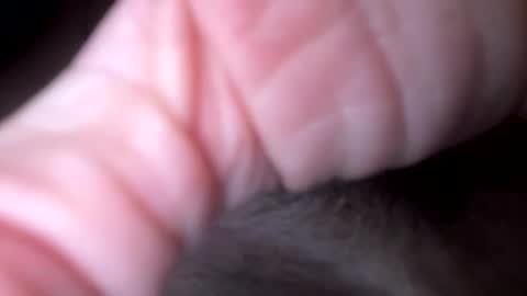 xxx5679333567 online show from February 6, 2026, 12:04 am