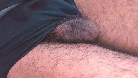 Prince online show from January 8, 2026, 4:53 pm