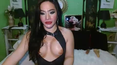 PAMPAM online show from April 23, 2026, 8:46 am