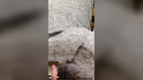 xxxxxxxxxxxxxx_ online show from December 5, 2025, 8:05 pm