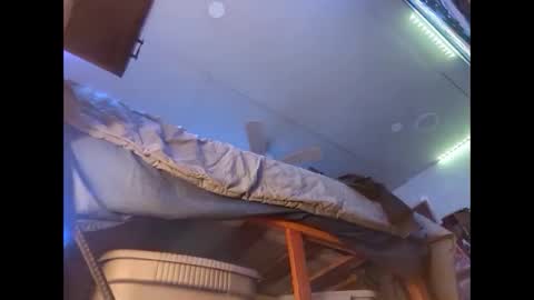 Xzbib online show from December 12, 2024, 8:43 pm