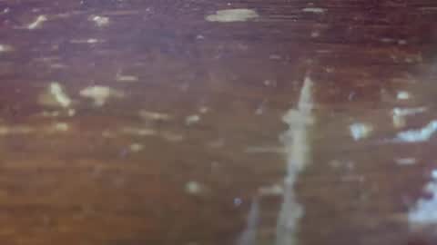 yagishirafe online show from November 13, 2025, 2:38 pm