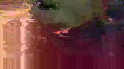 yangolox3 online show from February 15, 2026, 5:48 am