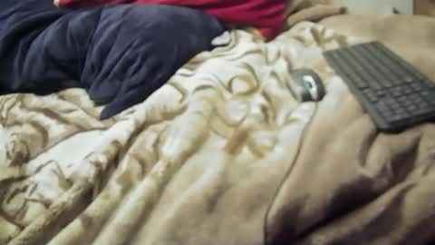 yangolox3 online show from February 23, 2026, 8:55 am