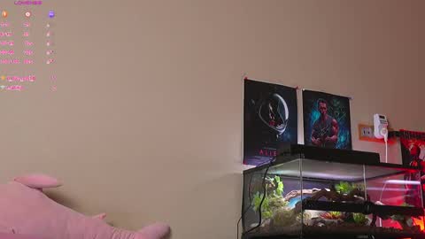 Yara online show from April 3, 2026, 10:46 am