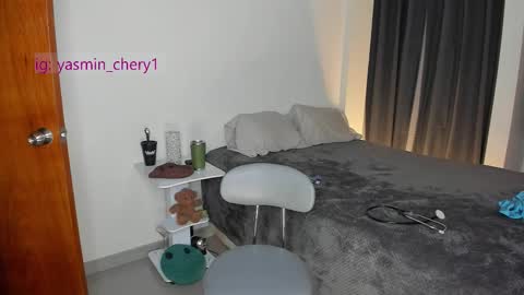 Snapshot of yasmin_chery chatting on January 12, 2026, 10:48 pm sami online show from January 12, 2026, 10:48 pm