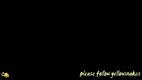 Snapshot of yellowsnakes chatting on December 2, 2025, 12:43 pm . y e l l o w s n a k e s . online show from December 2, 2025, 12:43 pm