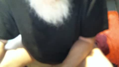 .     y e l l o w s n a k e s       . online show from December 5, 2025, 6:04 pm