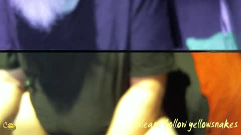 .     y e l l o w s n a k e s       . online show from December 17, 2025, 11:33 pm