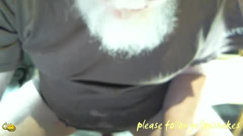 .     y e l l o w s n a k e s       . online show from April 19, 2026, 6:10 pm