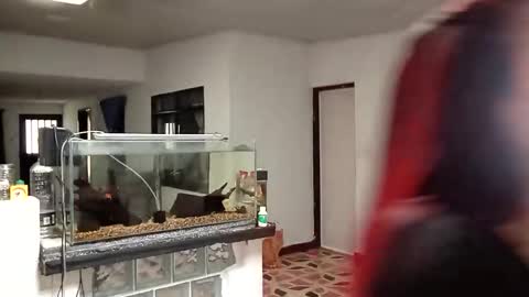 yesika_t online show from January 9, 2026, 5:48 pm