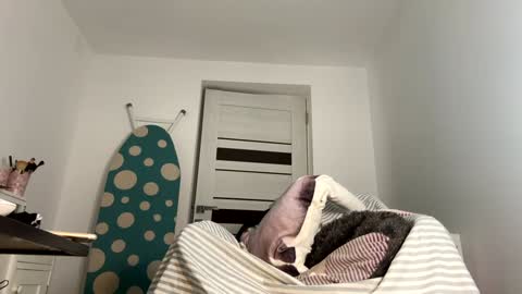 private on 18 per minute start private 500 tokensOnlyfans  online show from January 9, 2025, 8:44 pm