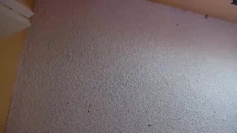 Snapshot of your_king_of_hearts chatting on March 5, 2026, 7:21 pm Sophiestar online show from March 5, 2026, 7:21 pm