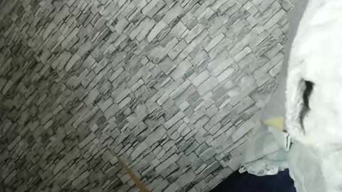 angel online show from February 23, 2026, 2:14 pm