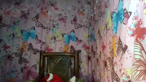 im MAY online show from February 12, 2025, 10:37 pm