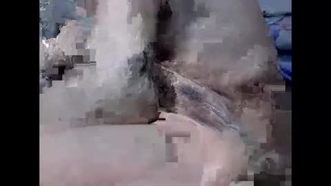 yummy72747 online show from February 4, 2026, 10:32 am