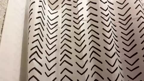 yungstudbev online show from March 21, 2026, 1:05 pm