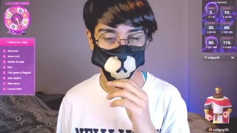the puppy boy online show from July 21, 2026, 3:42 am