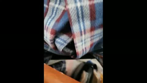 yuppers1234 online show from February 5, 2025, 6:37 pm