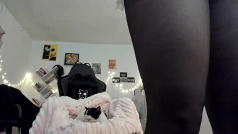 Snapshot of yury_sun chatting on January 18, 2025, 9:45 pm paola online show from January 18, 2025, 9:45 pm