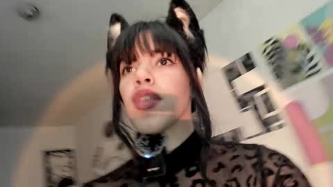 Snapshot of yury_sun chatting on November 26, 2025, 8:43 pm paola online show from November 26, 2025, 8:43 pm