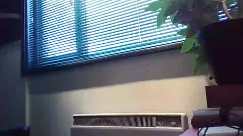 zalina2 online show from February 13, 2026, 4:03 pm