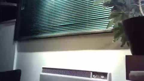 zalina2 online show from March 8, 2026, 6:06 am