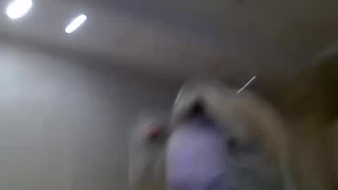 Zarina Swift online show from February 14, 2025, 4:47 am