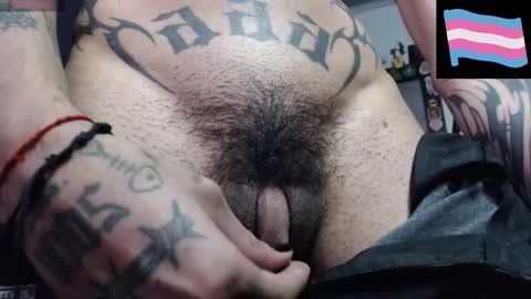 Zeldris online show from February 9, 2025, 6:37 pm