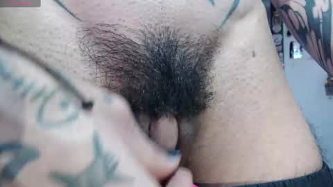 Zeldris online show from February 18, 2025, 2:16 pm