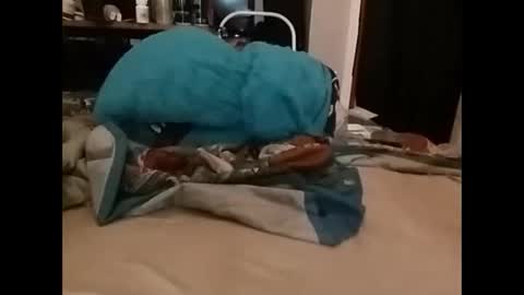 zero online show from December 14, 2024, 3:36 pm