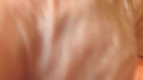 Snapshot of zevioo77 chatting on November 18, 2025, 11:58 am zevioo77 online show from November 18, 2025, 11:58 am