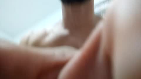 Snapshot of zigfrid666 chatting on June 17, 2026, 1:45 pm zigfrid666 online show from June 17, 2026, 1:45 pm