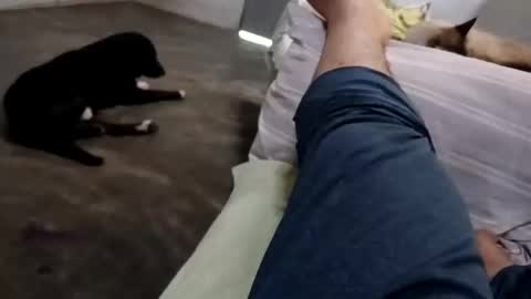 zitojose73 online show from October 8, 2025, 6:49 pm