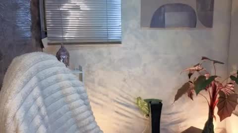Snapshot of zoee_kiss_ chatting on May 9, 2026, 5:34 am ZOE online show from May 9, 2026, 5:34 am