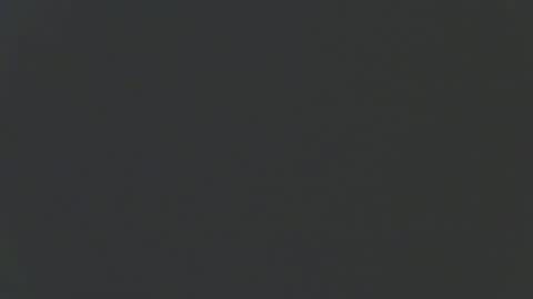 zomma44 online show from March 11, 2026, 2:28 am