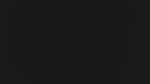 ZURY   online show from October 24, 2025, 11:28 am