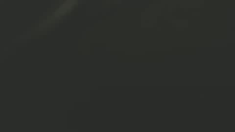 zx66_pyro online show from December 30, 2024, 3:47 am