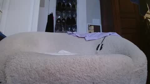 zymase online show from January 4, 2025, 11:27 pm