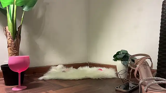 valeria lokitasexy online show from February 2, 2026, 3:16 am