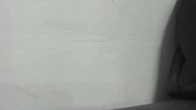 roxana collins online show from January 16, 2025, 2:30 am