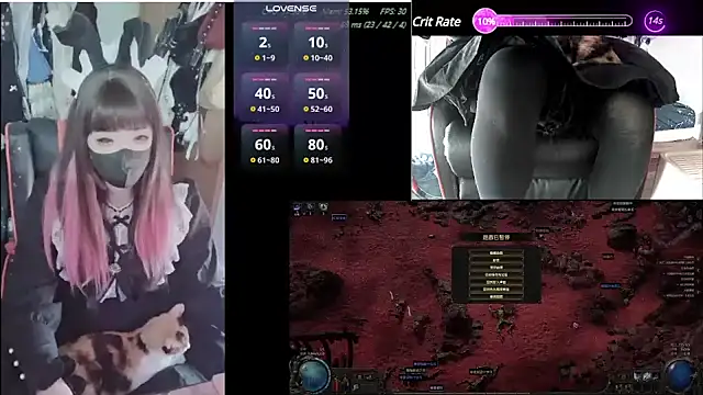 z23002 online show from January 17, 2025, 8:45 am