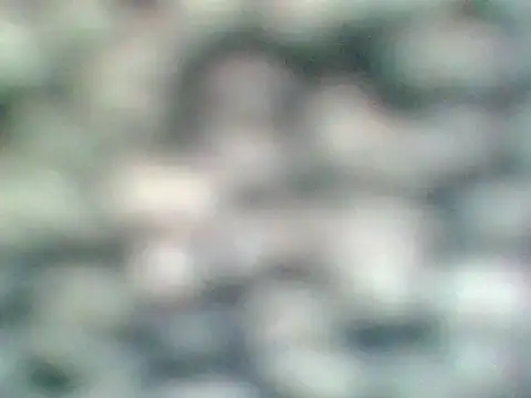 Helennahot online show from April 21, 2026, 6:34 pm