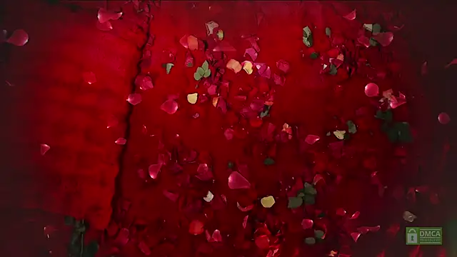 abbyhall  online show from February 14, 2026, 8:49 pm