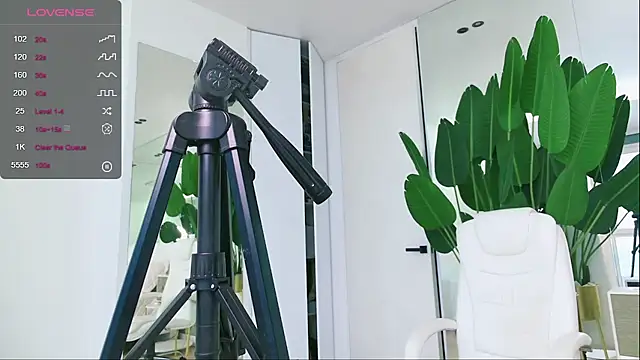 wowEva online show from January 31, 2025, 11:56 am