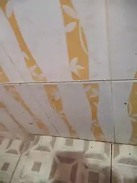 Sanjaymartin29 online show from February 6, 2025, 3:37 am