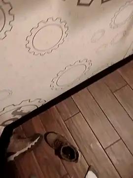 JRock69nKzoo online show from March 20, 2026, 12:26 am