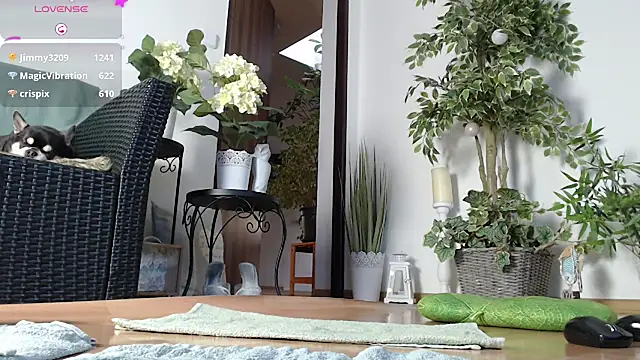 Squirtmania online show from January 1, 2025, 7:20 am