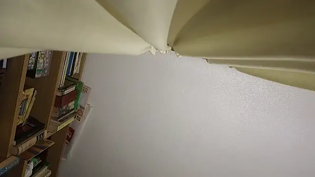 curiosillo83 online show from March 23, 2026, 5:06 pm